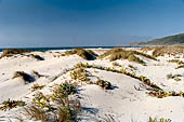 Rias della Galizia, Spagna - Dune della laguna di Trabe 